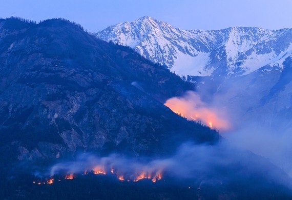 Picture shows a forest fire.