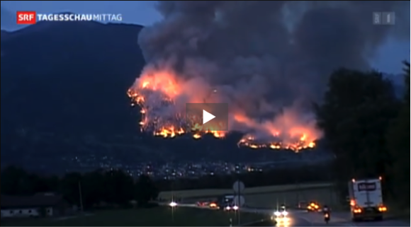Waldbrand1
