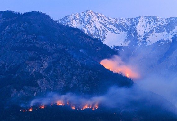 La photo montre une forêt en combustion.