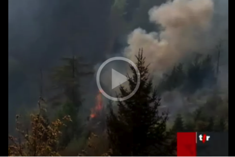 waldbrand-fr